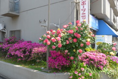 P1350354