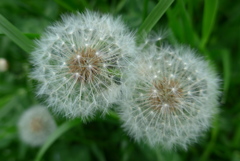 P1340499