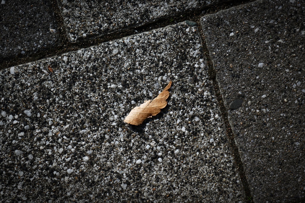 P1160565