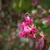 P1330541