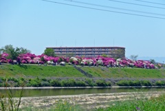 P1340735