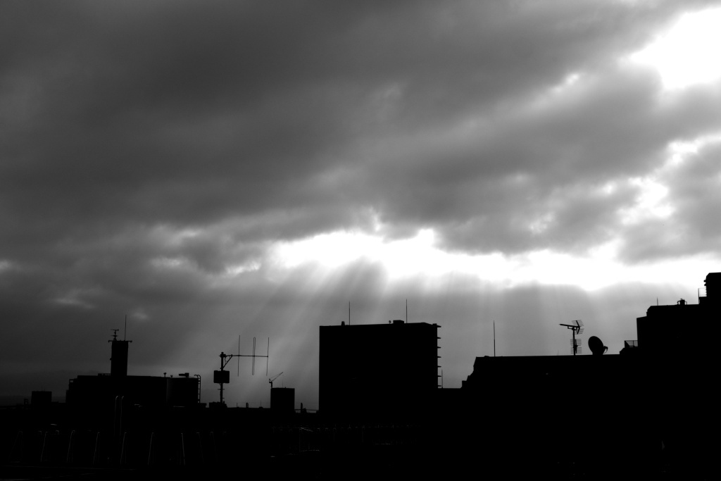 DSCF1957