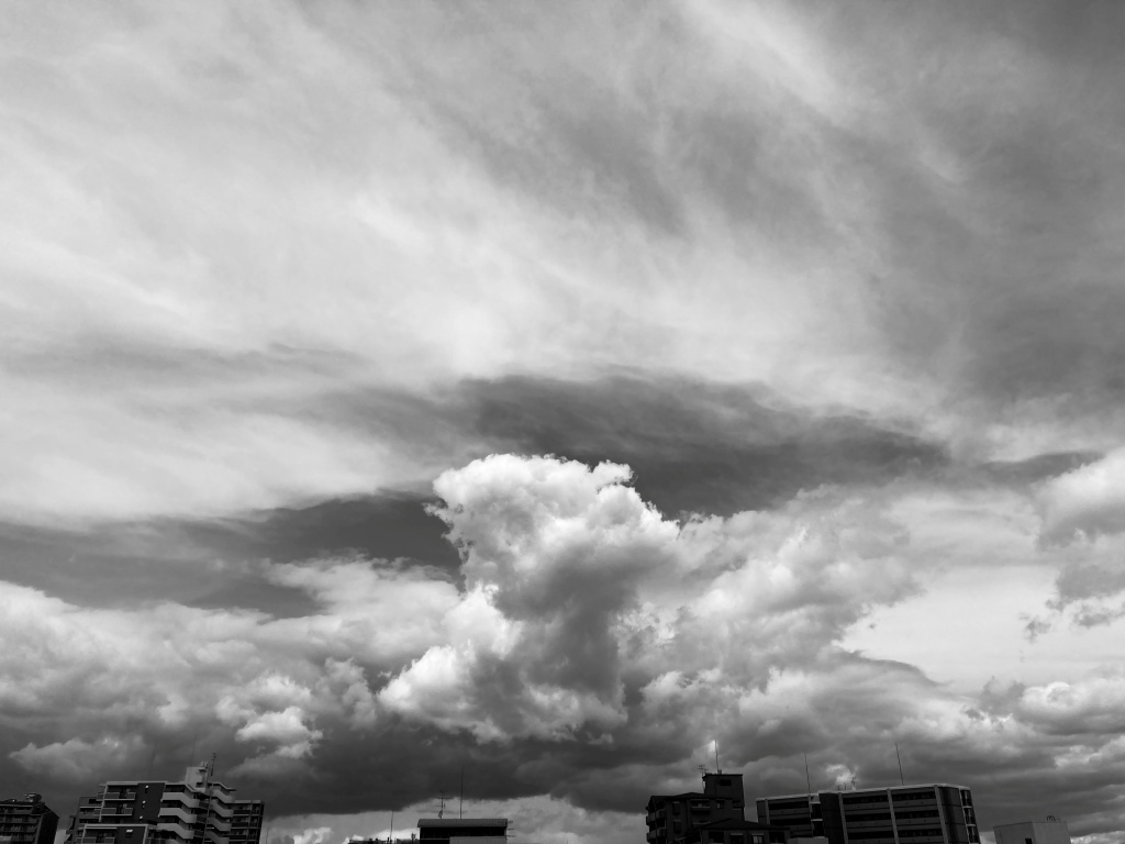 IMG_E1946