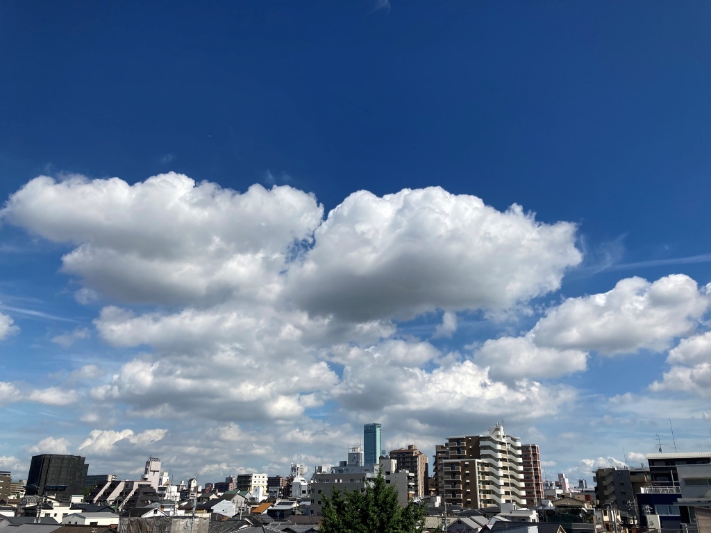 メモリ内掃除 