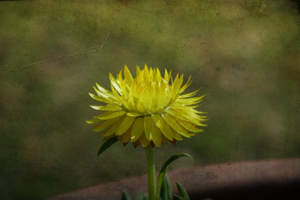 P1300324