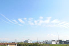秋空 (8)