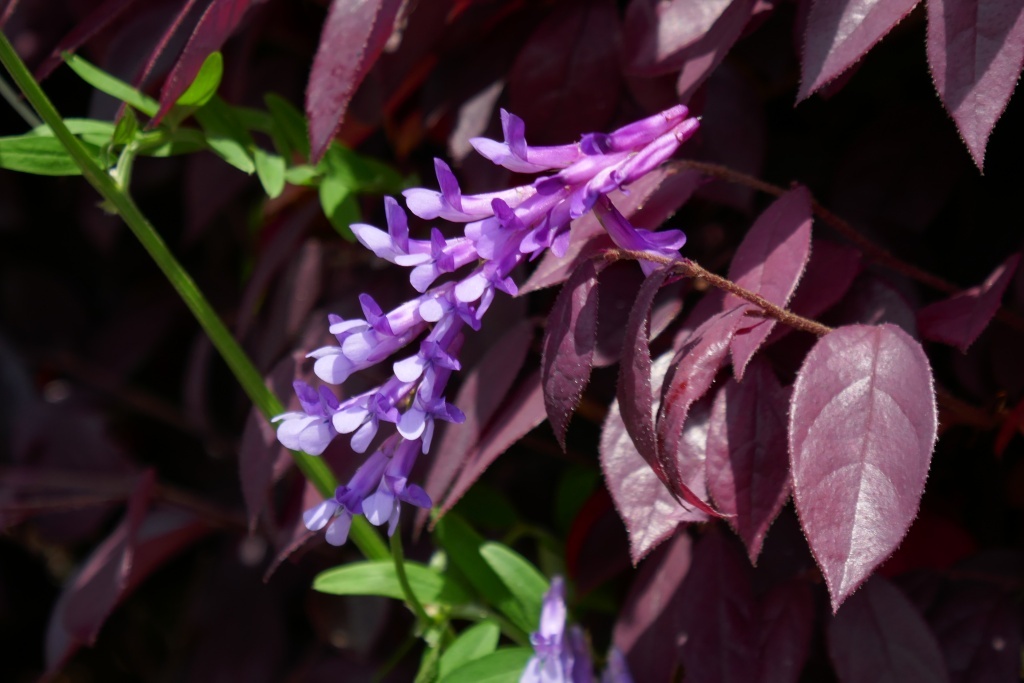 P1280513