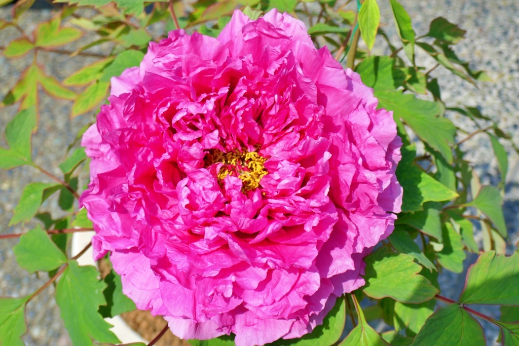 P1280333
