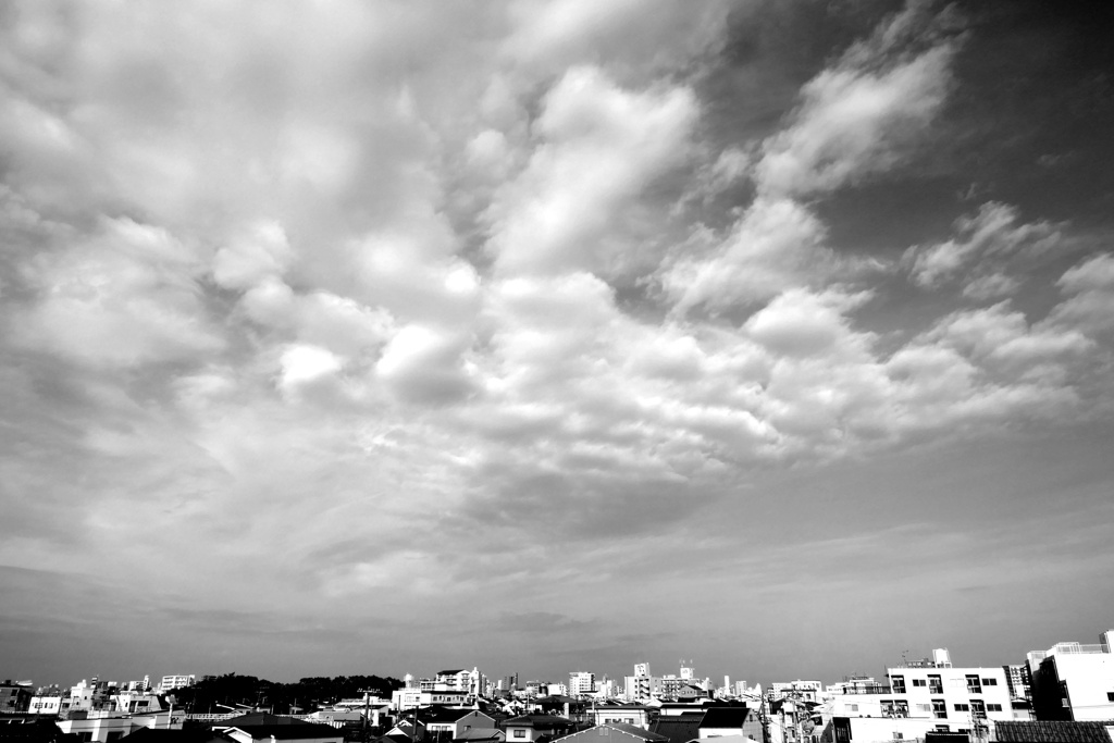 P1020532