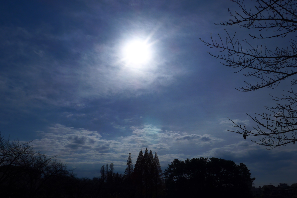 昼なのに夜みたい