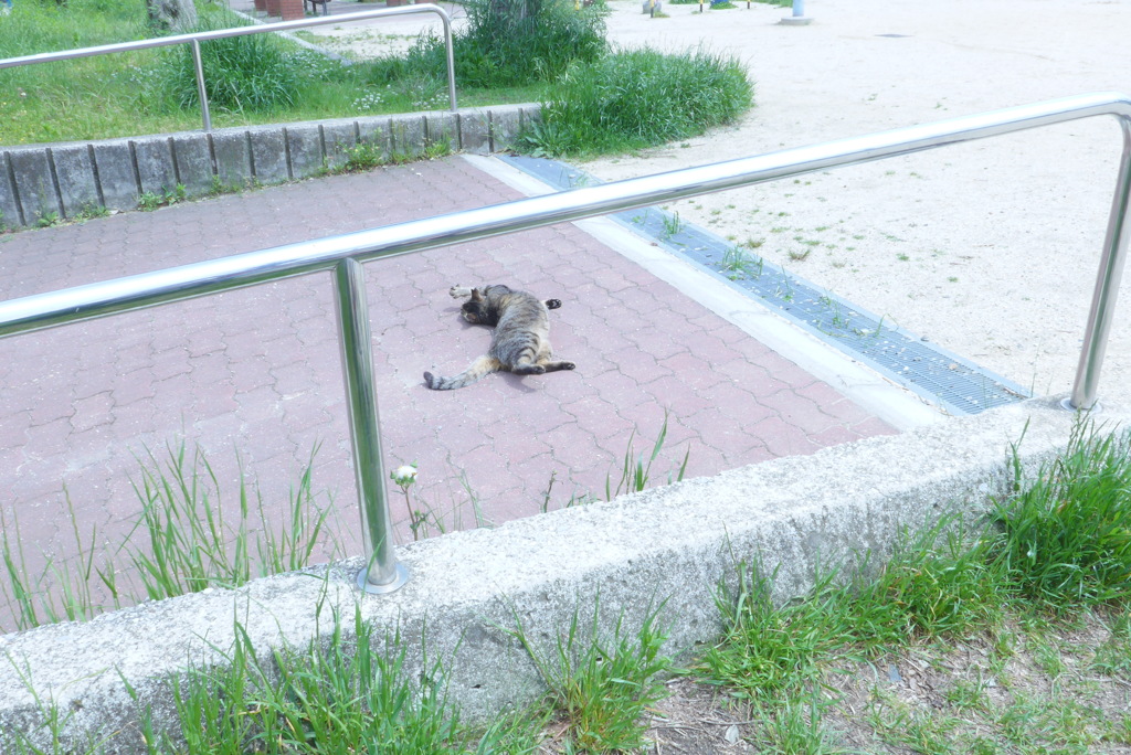 伸びぃ～～～