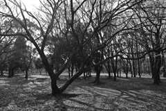 P1080880