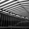 P1210565