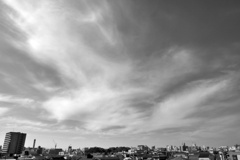 P1310391