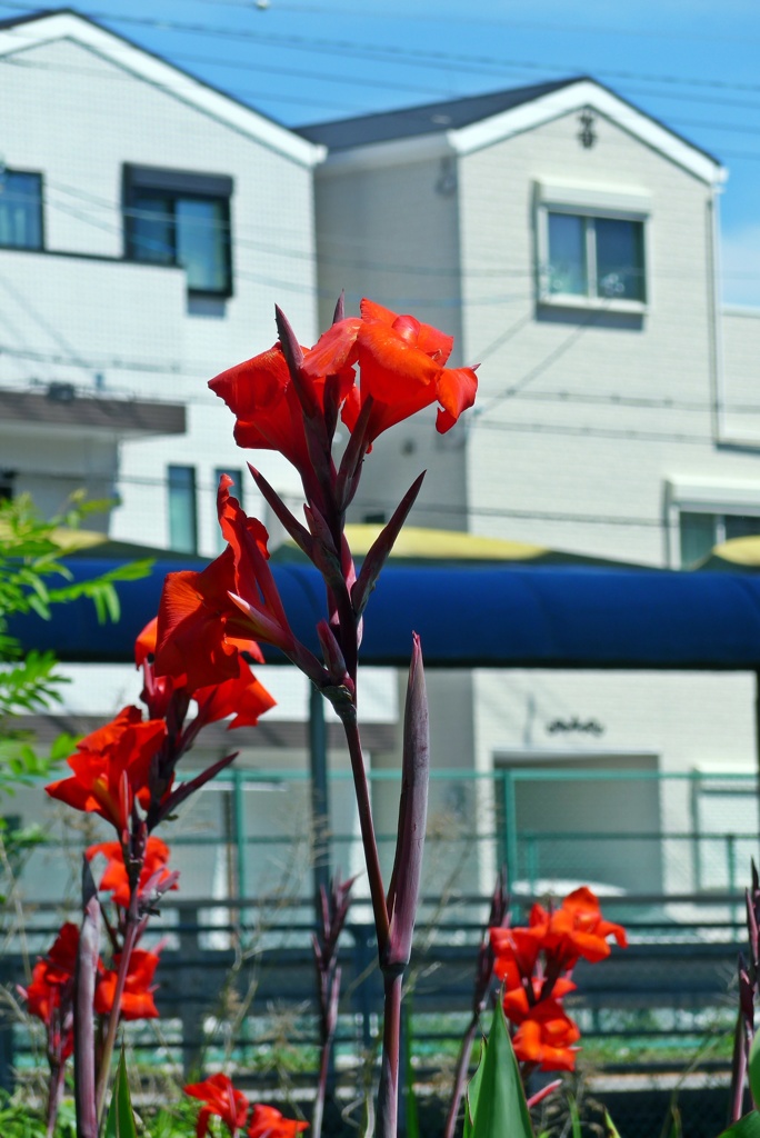 P1210647