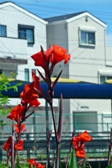 P1210647