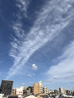 日常の空