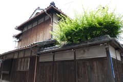 P1000367