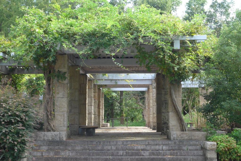P1400411