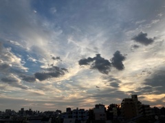 IMG_0361