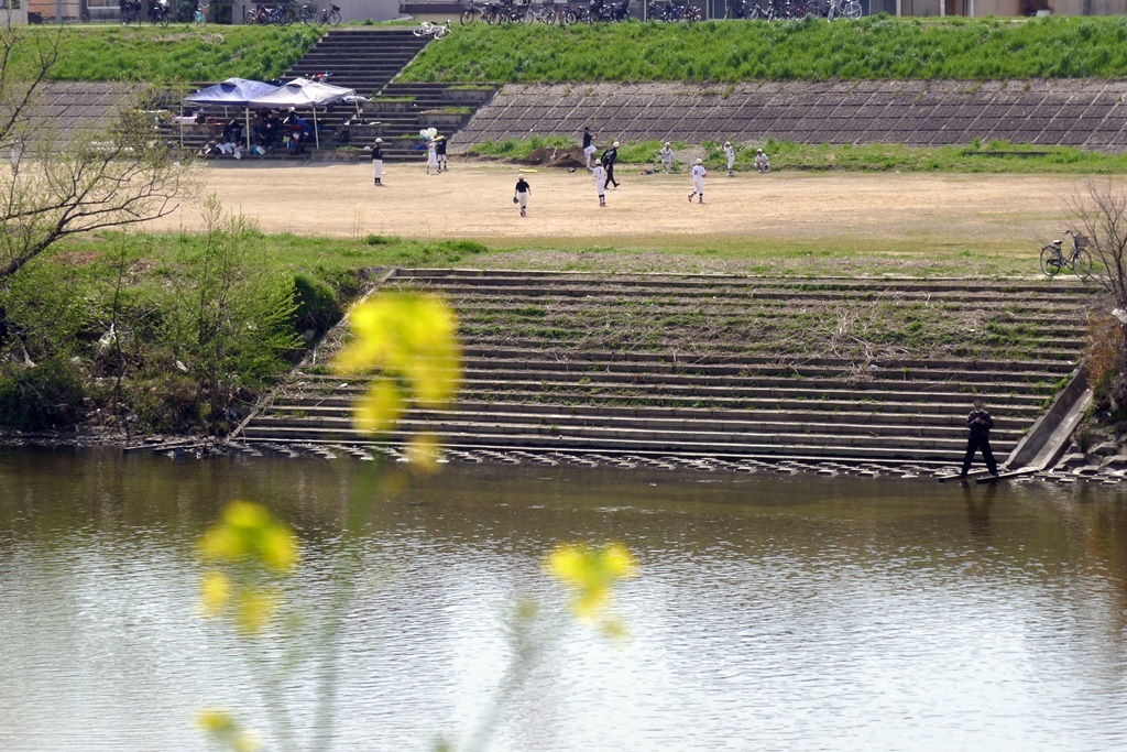 春野球