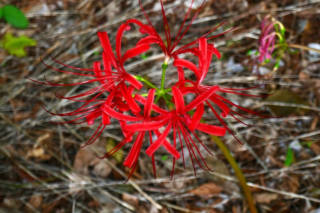 P1290842