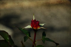 P1300381