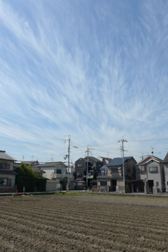 P1190089