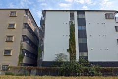 下からビヨビヨと・・・