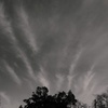 P1310570