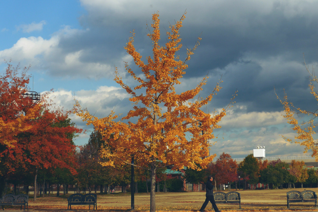 公園7