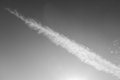 P1300095