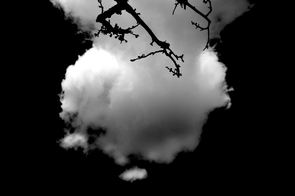 P1310828