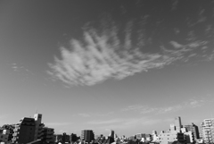 P1300081
