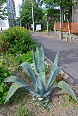 P1200932