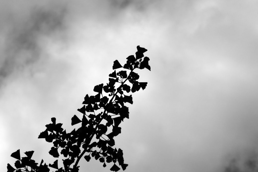 P1040948