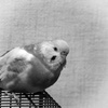 P1250195