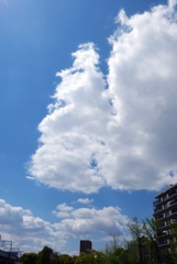 くも