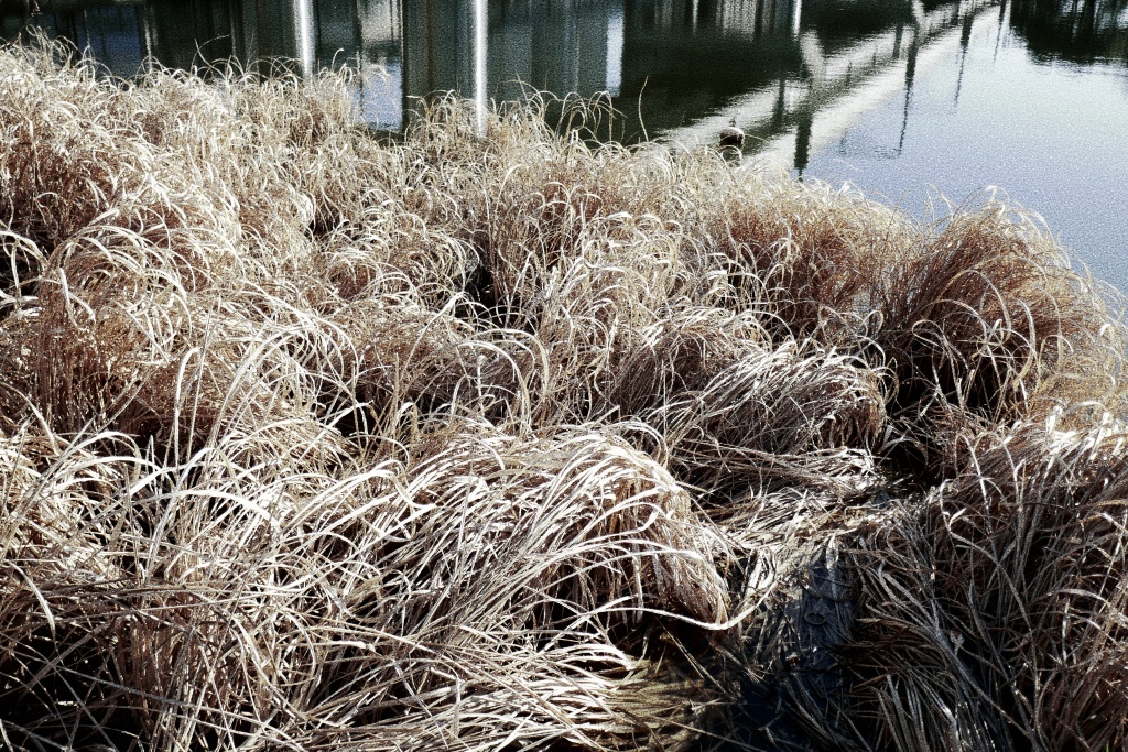 P1320047