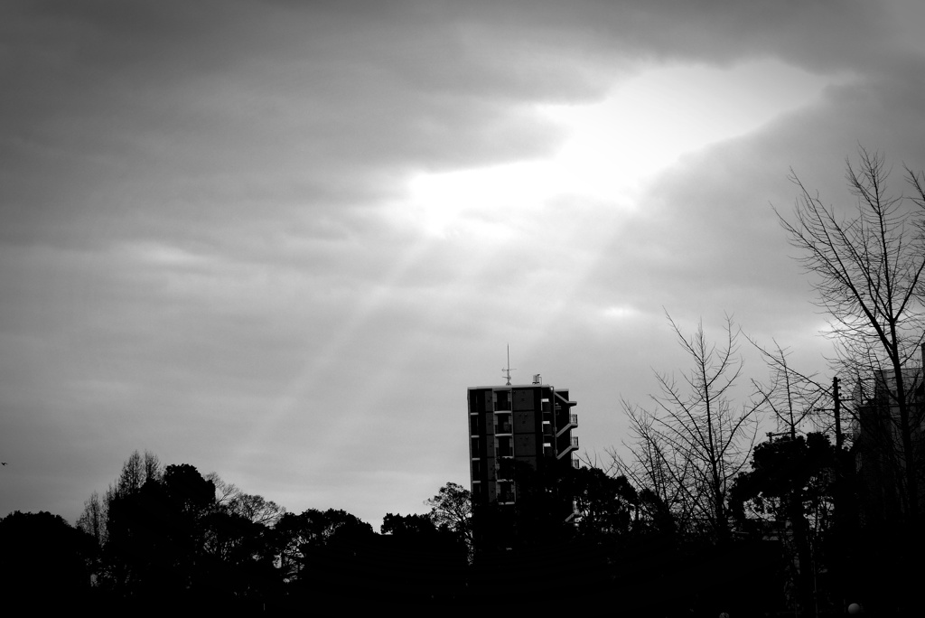 P1320668