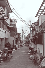 P1200655