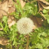 P1200585