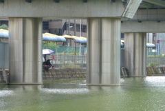 平和な釣り1
