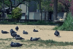 自分のゴミくらい自分で片付けろ