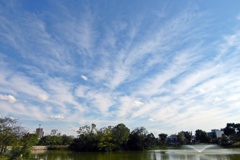 P1060486