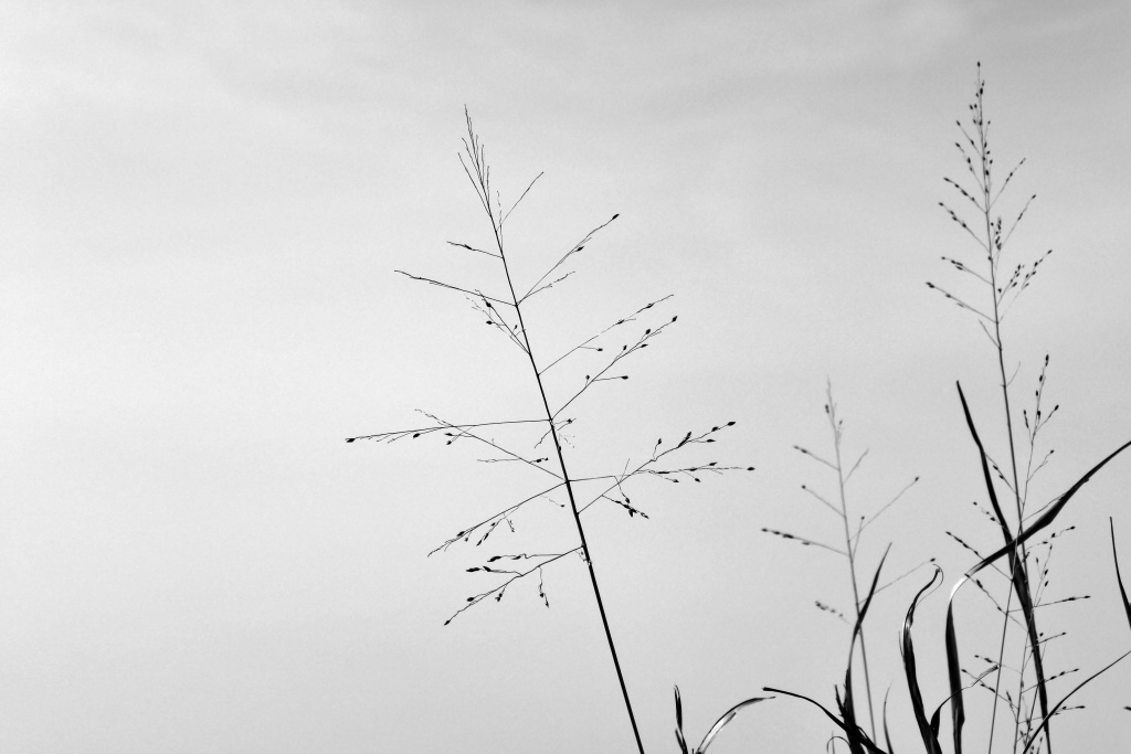 P1330273