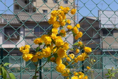 P1340362