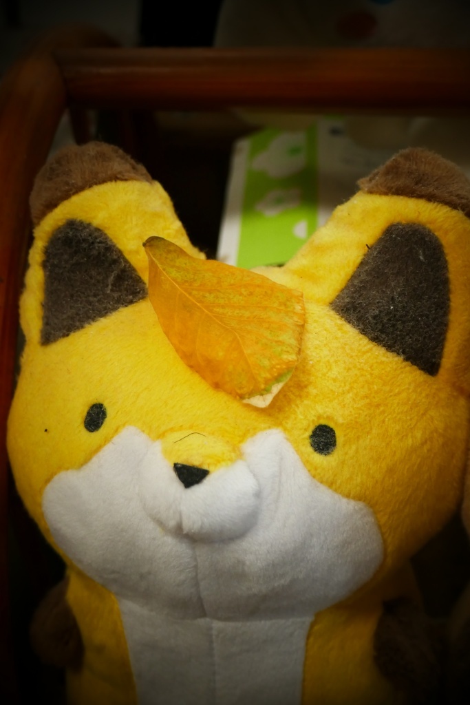 枯葉でドロンパきつねさん