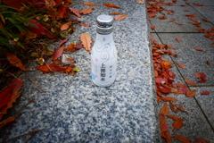 昼から一杯
