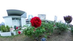 R0010587